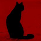 red black cat