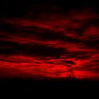 Red & Black Sunset