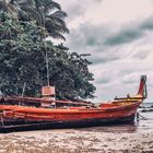 Red boat