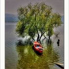 Red Boat