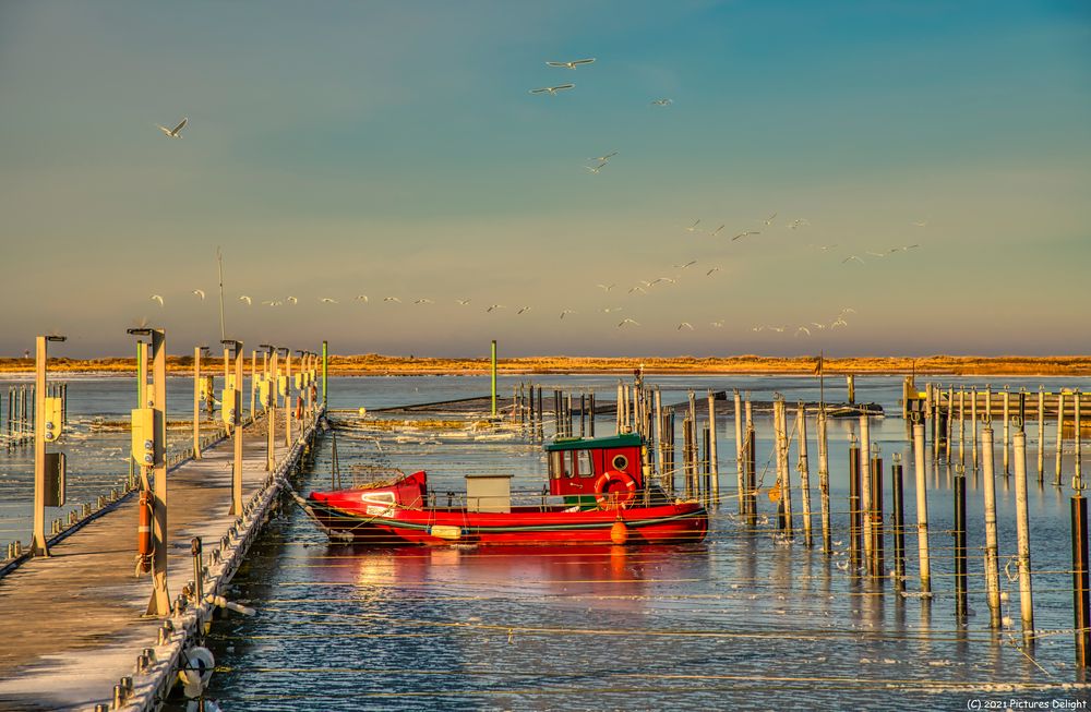 - Red Boat on Ice -