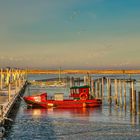 - Red Boat on Ice -