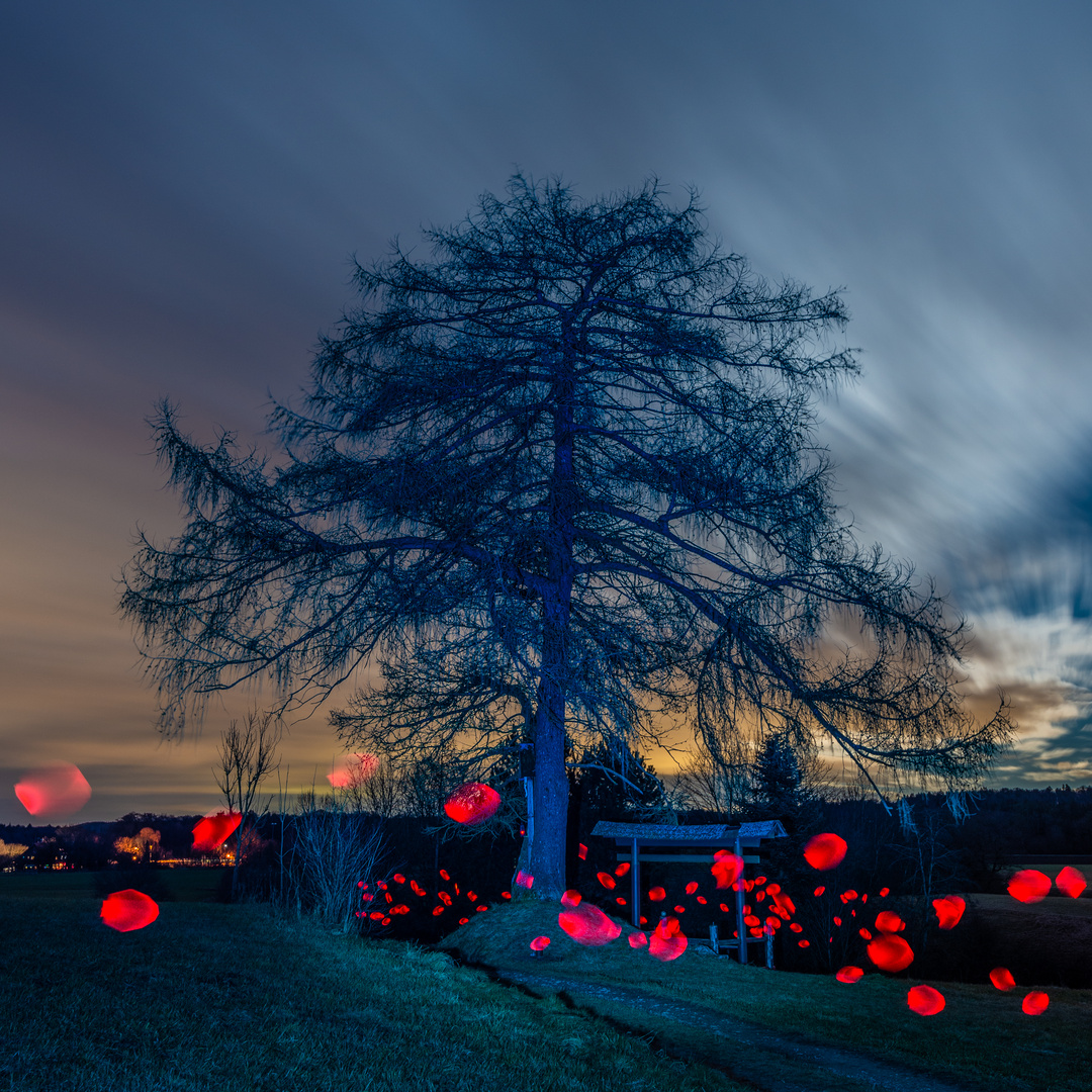 Red Bubbles