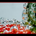 Red Bubbles Reloaded