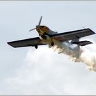 ... Red Bull Air Race (21) ...