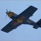 ... Red Bull Air Race (22) ...