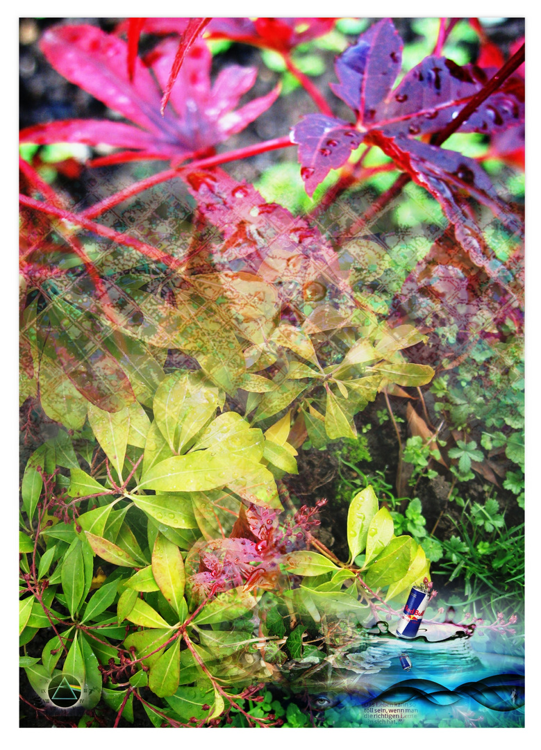 Red Bull Foto Bild Fotomontagen Ebv Natur Kreativ Aufnahmetechniken Bilder Auf Fotocommunity