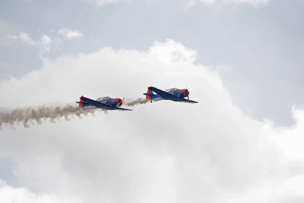 Red Bull Harvards