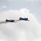 Red Bull Harvards