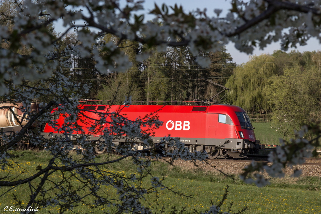 Red Bull im Obstbaum