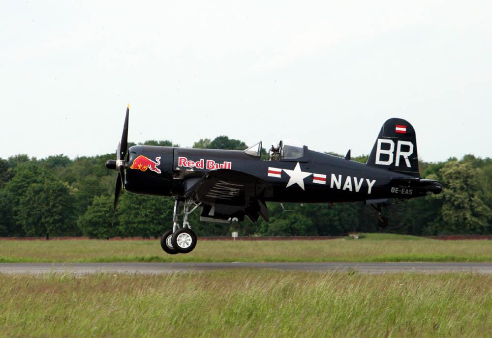 Red Bull - NAVY - DE-EAS