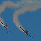 Red Bull North American SNJ-5 Texan