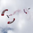 Red Bull Skydive Team