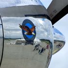 Red Bull (The Flying Bulls), Douglas DC-6: Detailaufnahme eines Triebwerks