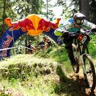 Red Bull Trailfox