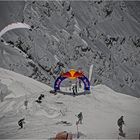 Red Bull verleiht Flügel