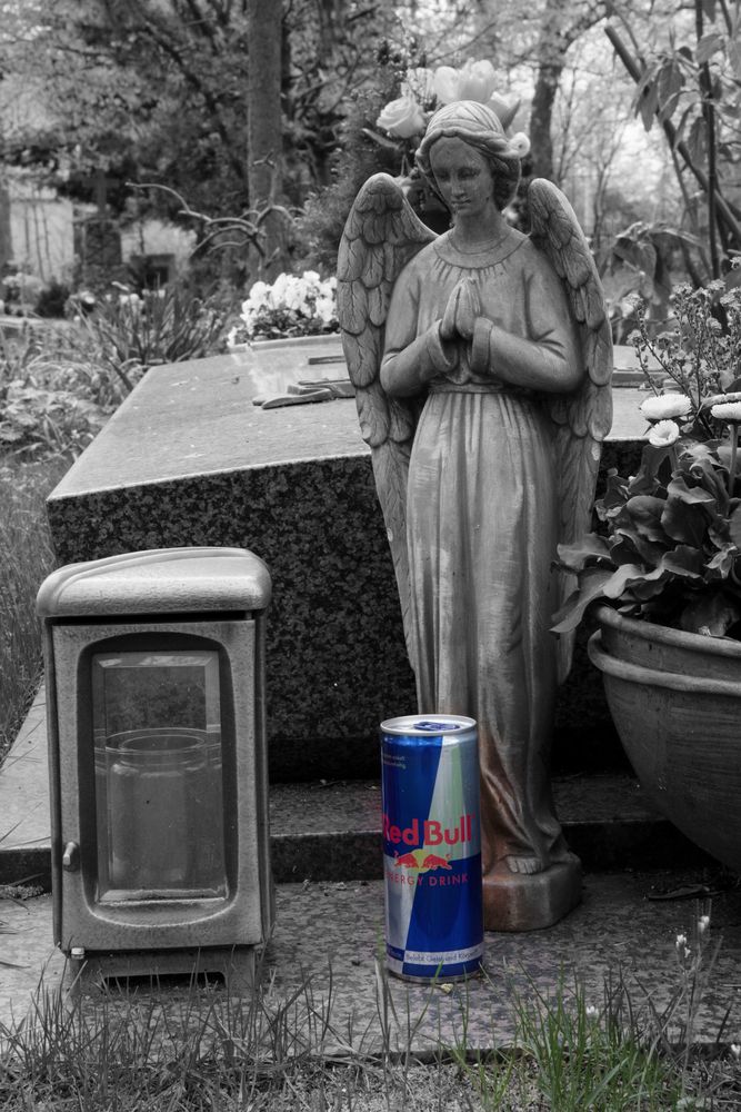 red bull verleiht flügel