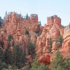 Red Canyon