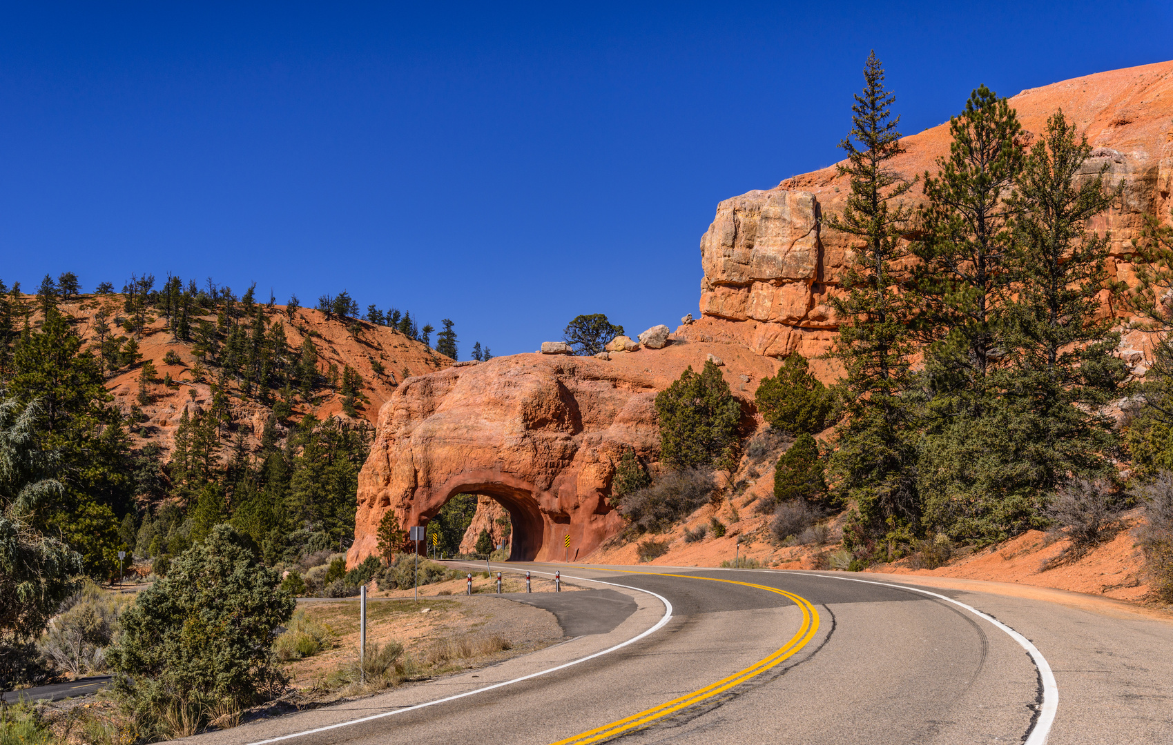 Red Canyon 1, Utah, USA