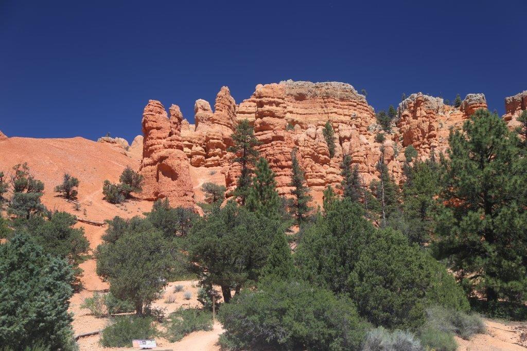 Red Canyon