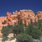 Red Canyon