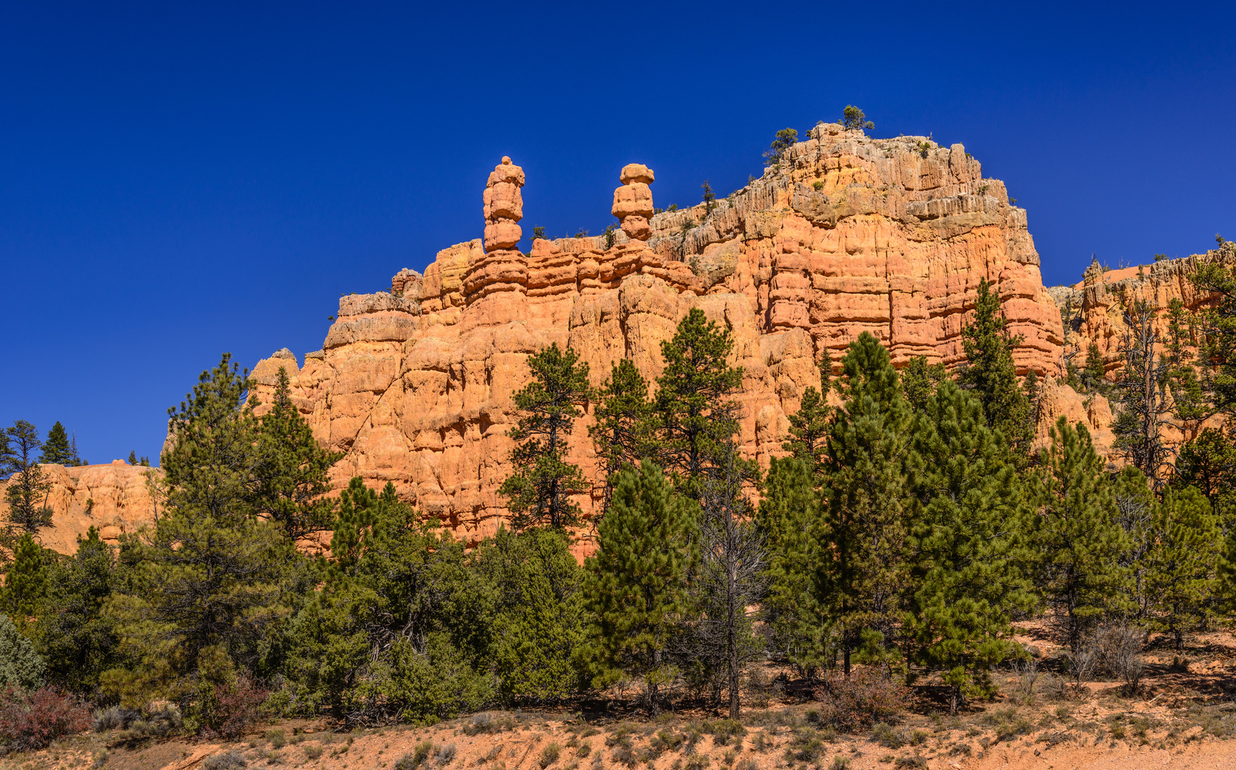 Red Canyon 3, Utah, USA