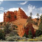 Red Canyon