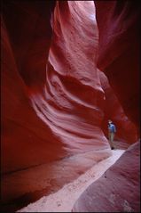 red canyon