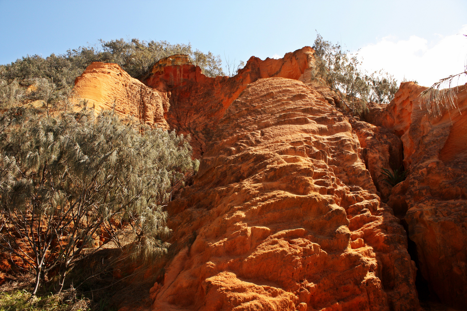 Red Canyon