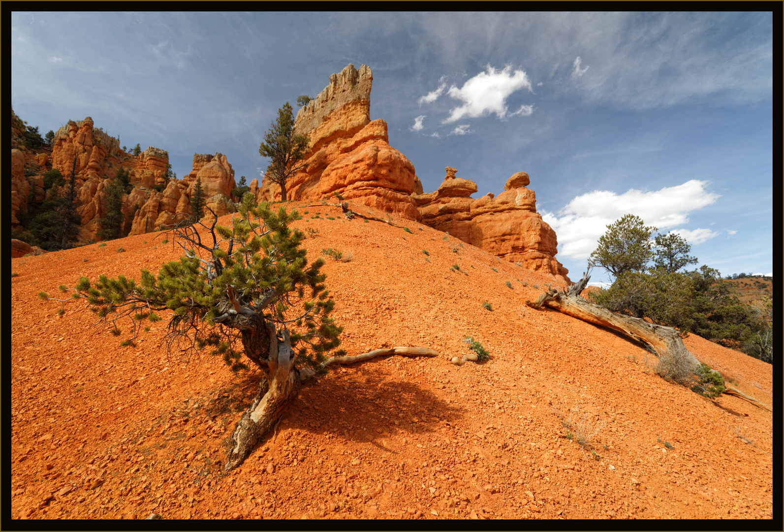 Red Canyon