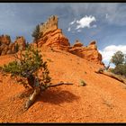 Red Canyon