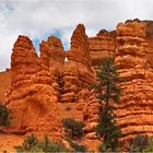 Red Canyon