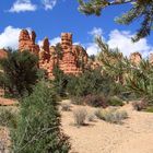 Red Canyon