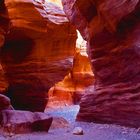 Red Canyon