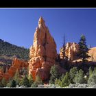 Red Canyon