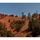 Red Canyon