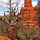 Red Canyon I