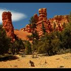 Red Canyon II