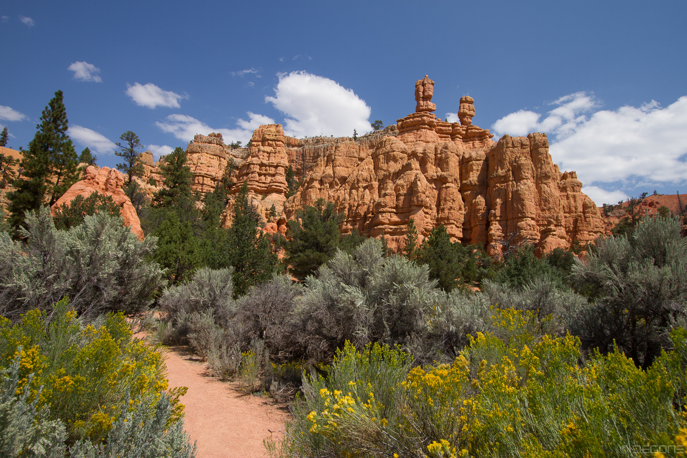 Red Canyon - Kleinod vor den Toren des Bryce Canyon