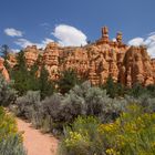 Red Canyon - Kleinod vor den Toren des Bryce Canyon