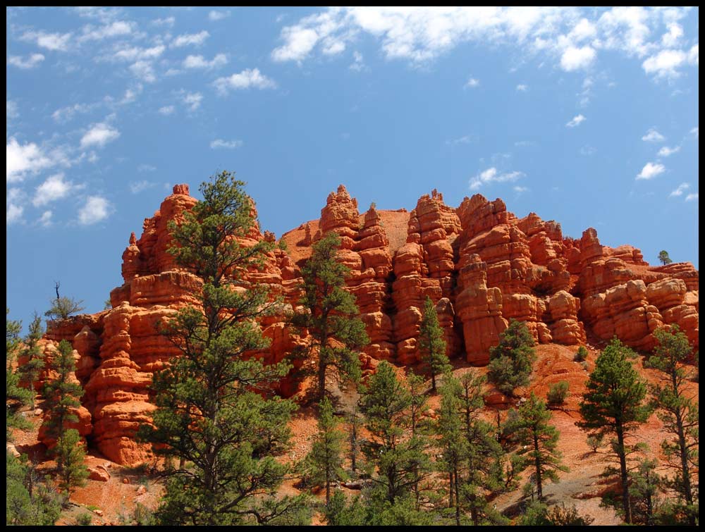 Red Canyon nach dem Regen