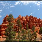 Red Canyon nach dem Regen