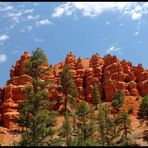 Red Canyon nach dem Regen