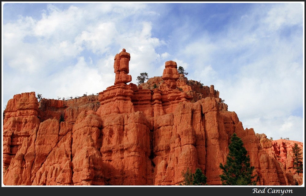 Red Canyon near Bryce Canyon II