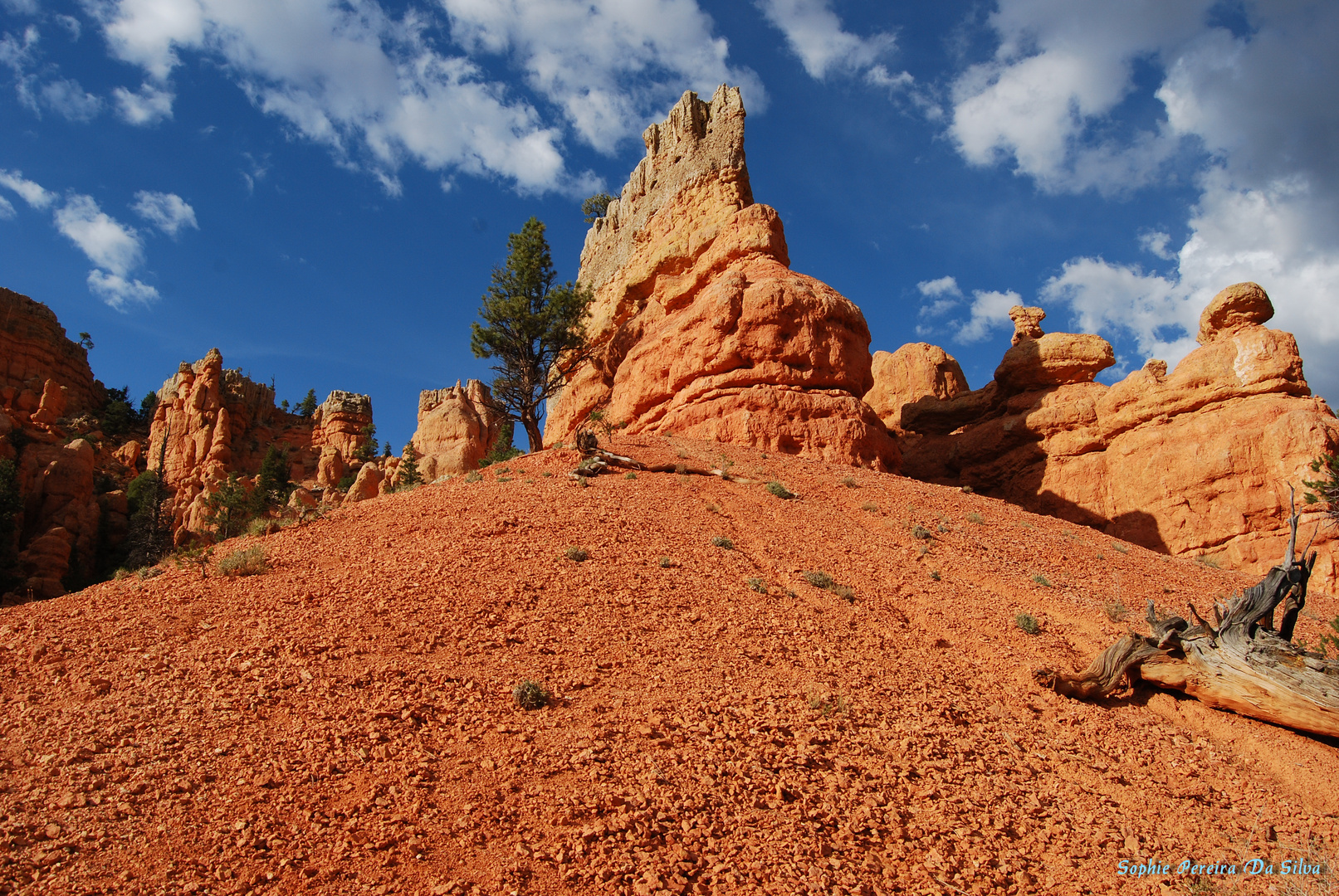 Red Canyon (USA)