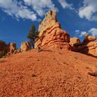 Red Canyon (USA)