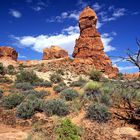 Red Canyon Utah