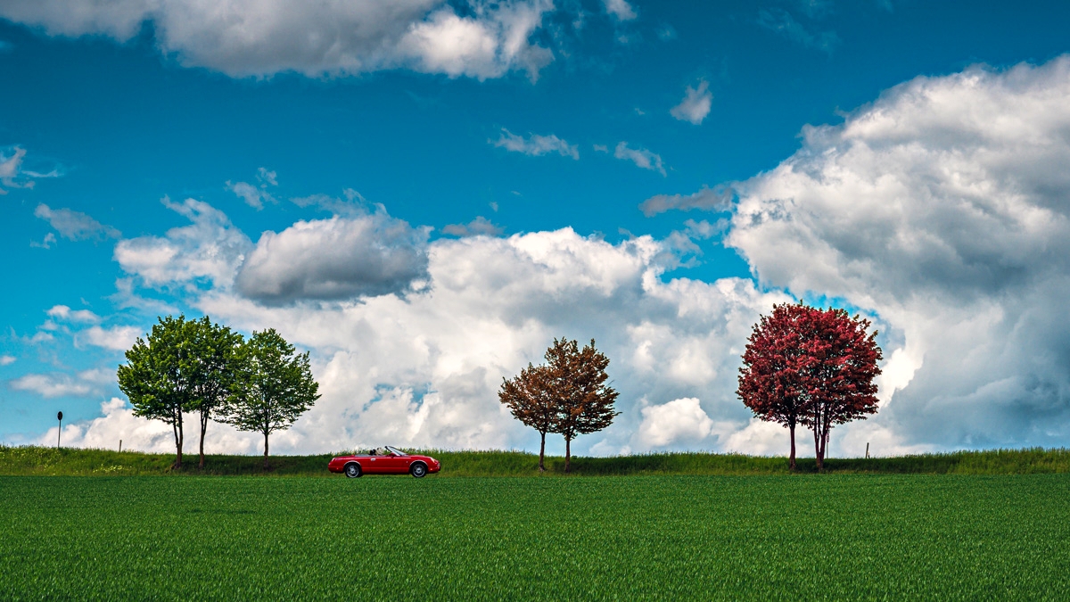 Red Car