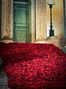 Red Carpet di Fabrizio Marchese 