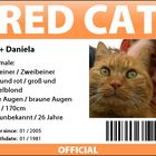 RED CAT